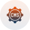 CMS Development